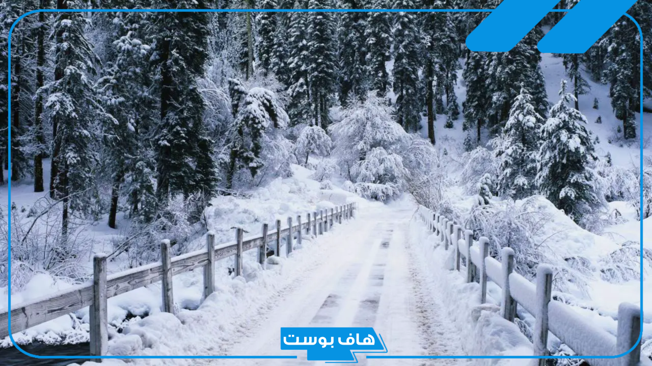 تفسير حلم نزول الثلج في المنام للرجل الأعزب والمرأة لابن سيرين