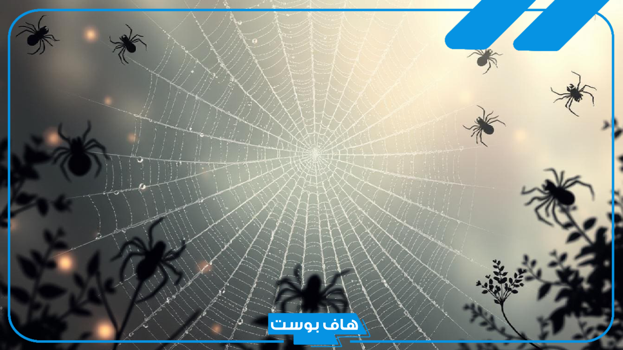 رمز العنكبوت في المنام للعزباء والمطلقة والمتزوجة لابن سيرين