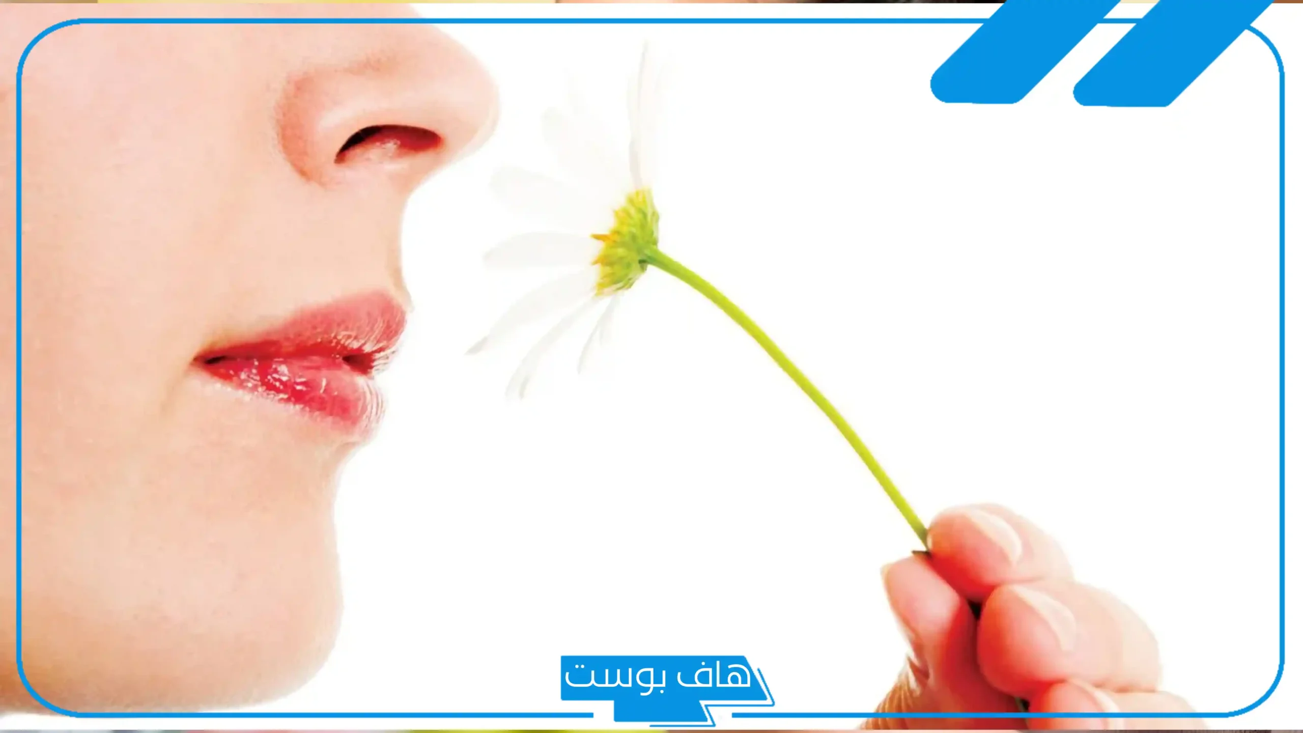 تفسير حلم شم الرائحة في المنام للمتزوجة والعزباء لابن سيرين