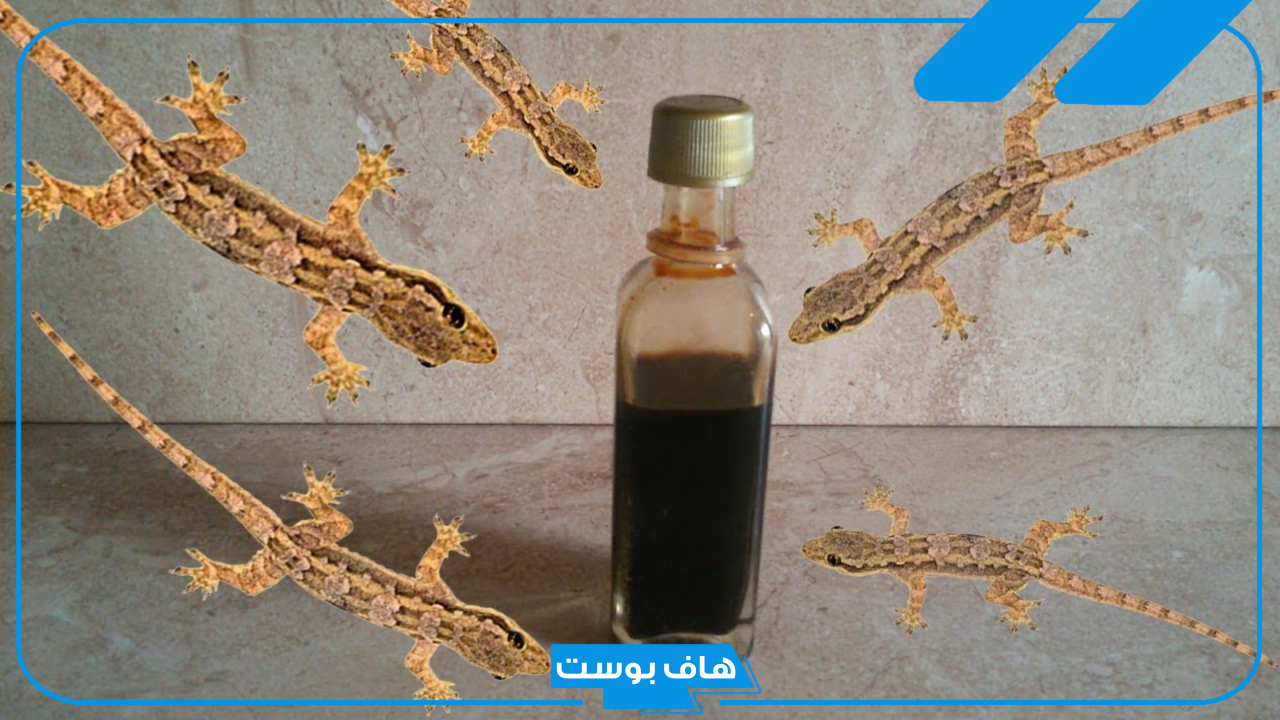 تفسير حلم الوزغ على الجسم في المنام لابن سيرين للمتزوجة والعزباء