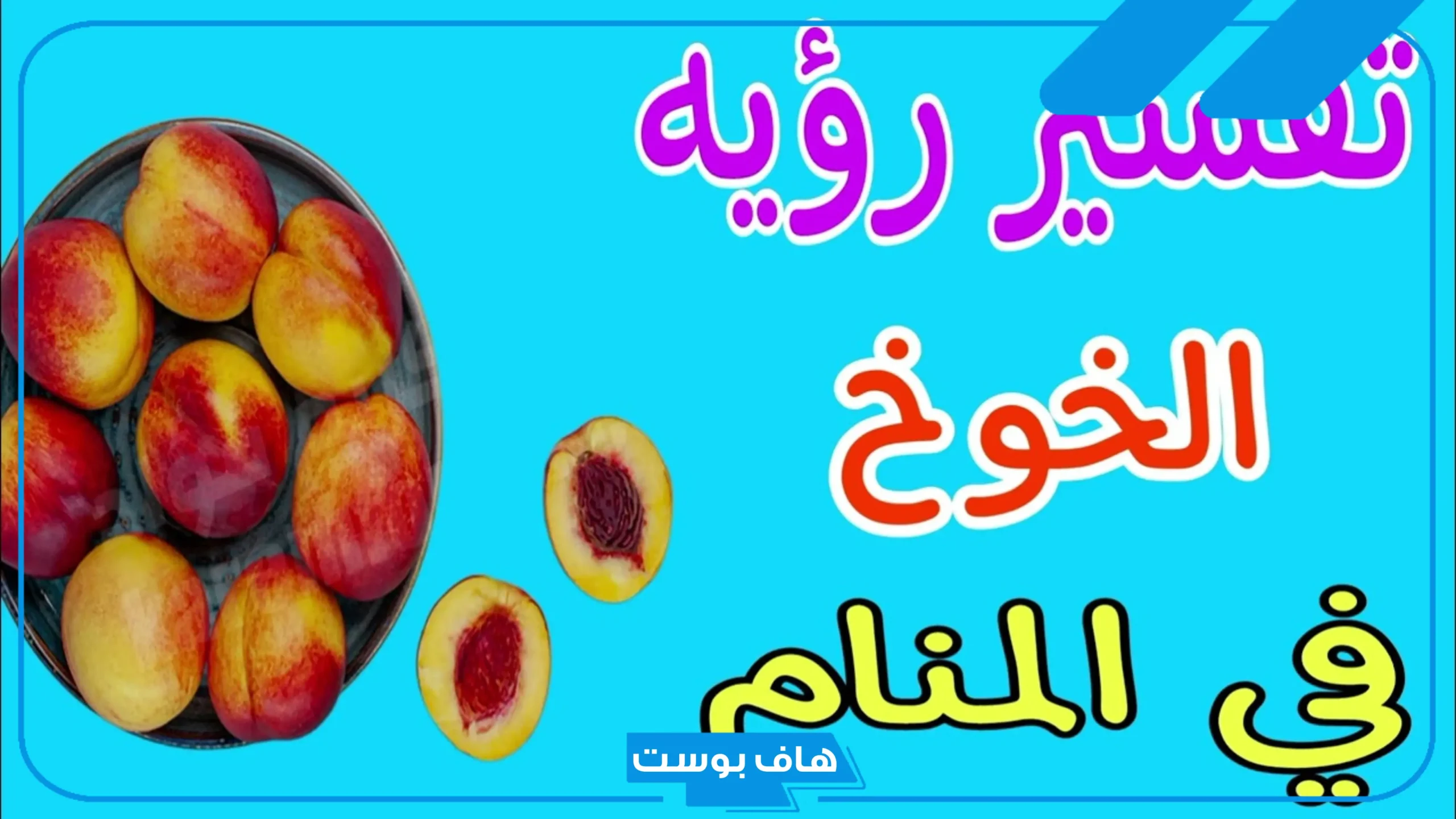 تفسير الخوخ في المنام للمطلقة والمتزوجة والحامل وعلاقته بالجنين ورمز أكله لابن سيرين