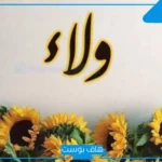 دلع اسم ولاء عربي وإنجليزي.. صفات صاحبة اسم ولاء