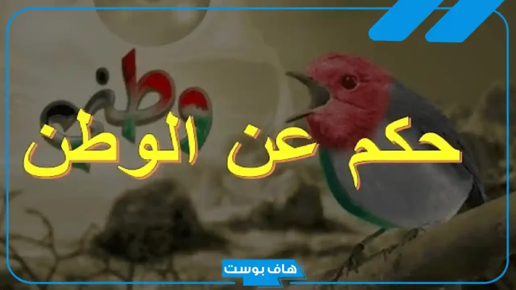 حكمة عن الوطن اذاعة مدرسية تبهر الحضور قصيرة وطويلة