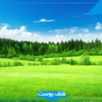 تفسير حلم الارض الخضراء في المنام لابن سيرين للحامل والعزباء