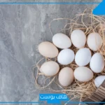 تفسير رؤية البيض في المنام للمتزوجة والعزباء والحامل على الأرض
