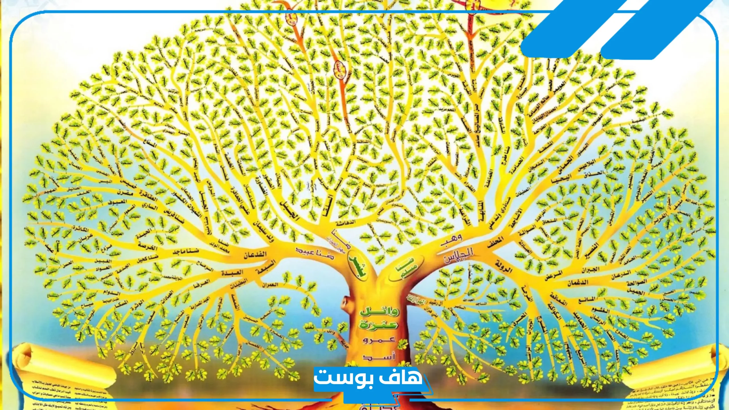 شجرة عائلة العرفج وأصلها.. مكان تواجد عائلة العرفج