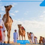 المنديل وش يرجعون، ديرة عائلة المنديلة، ما هو أصل عائلة المنديل؟