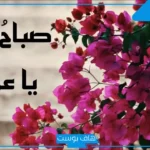 رسائل صباح الخير يا عمري وحياتي واتس آب.. صباح الخير للحبيبة البعيدة  