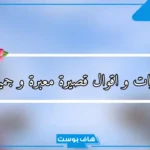 عبارات حلوه وقصيره لها معنى فيس بوك.. عبارات قصيرة عن الحياة تويتر