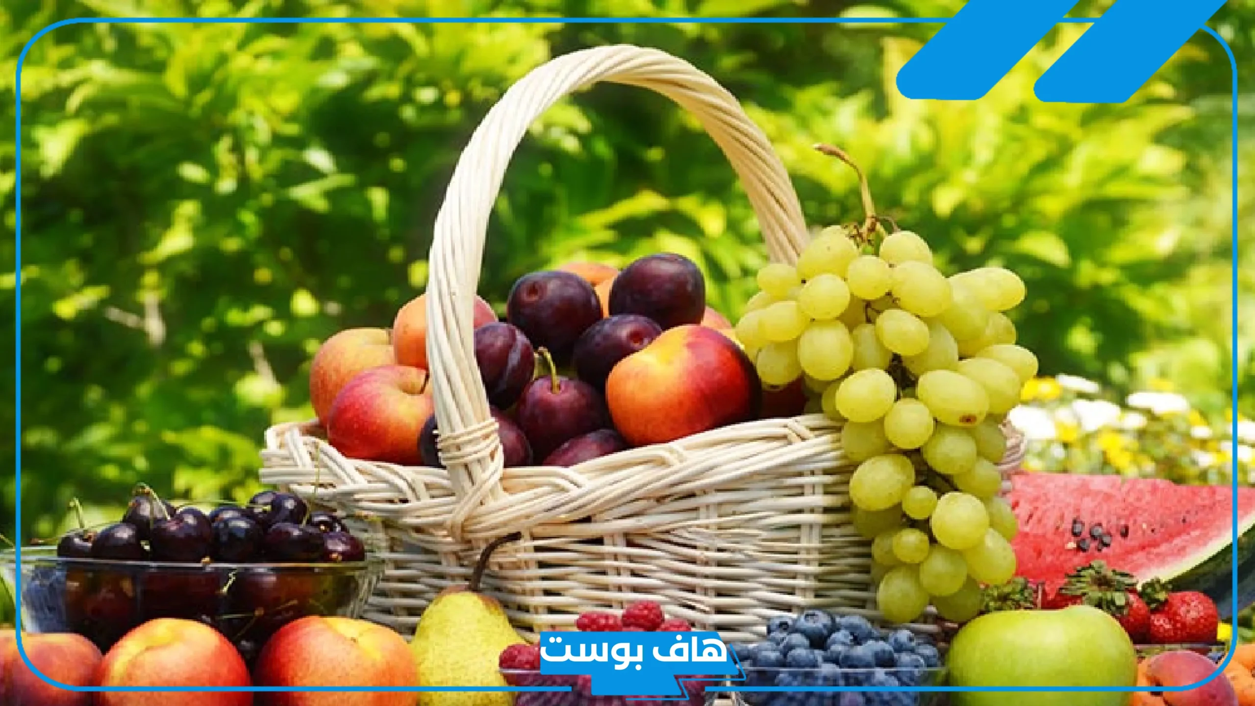 اسم فاكهة بحرف غ مركبة من 4 حروف معروفة 2025