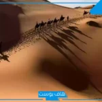 العون وش يرجع أصله.. نسب قبيلة العون من الأشراف