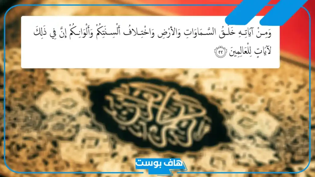 كلام جميل عن القران الكريم.. أجمل كلام عن القرآن الكريم تويتر