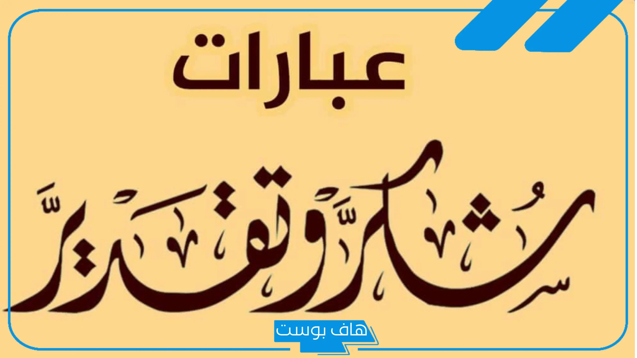 عبارات شكر وتقدير للدكتور من المريض.. رسائل شكر دكتور بالإنجليزي