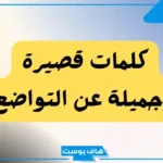 عبارات عن التواضع والأخلاق.. كلمات عن التواضع وعدم التكبر على الناس من أقوال السلف