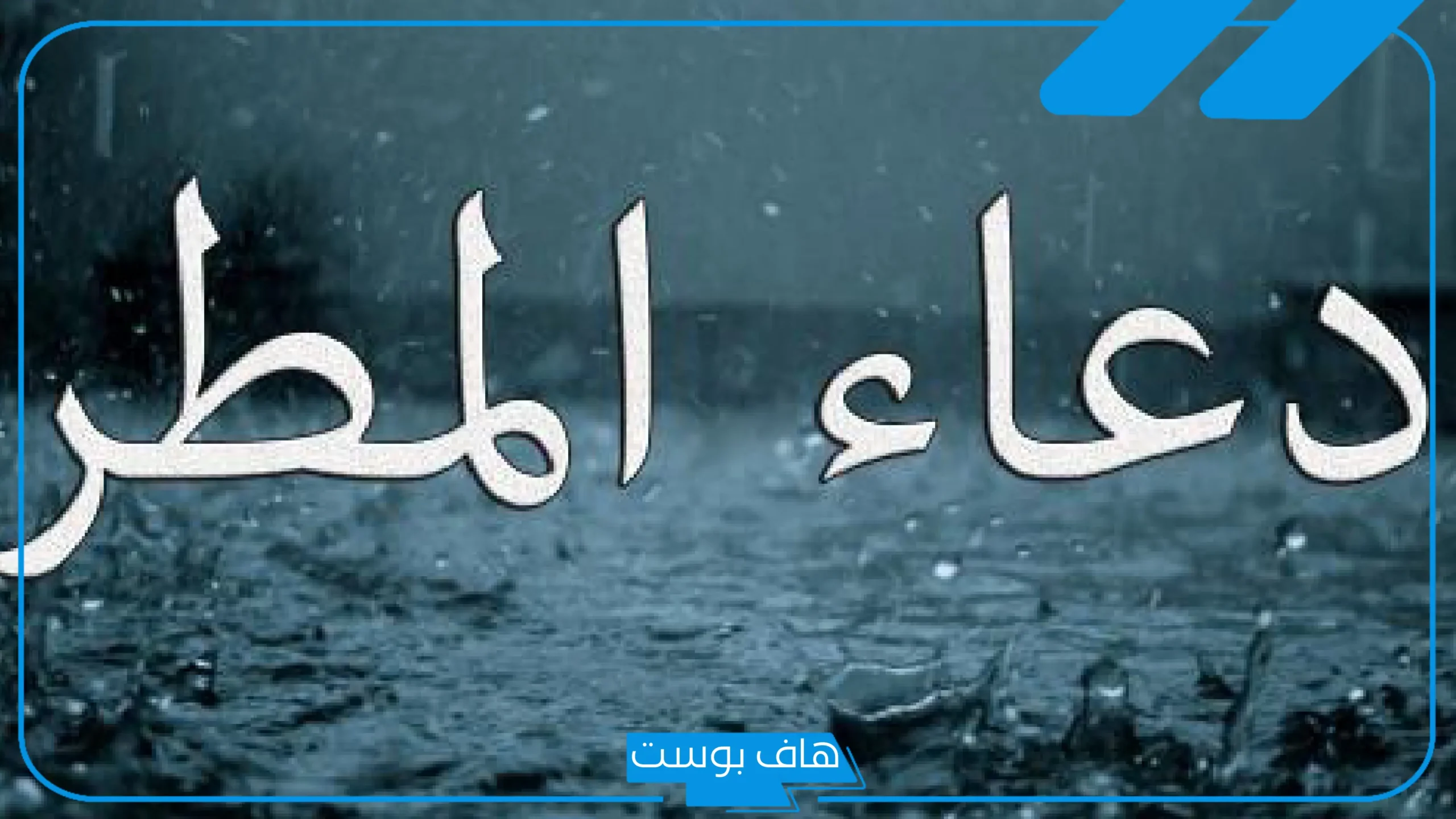 كلمات عن المطر تويتر دعاء.. أجمل عبارات عن المطر فيس بوك وواتس آب