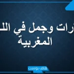 كلمات باللهجة المغربية ومعانيها غزل.. عبارات مغربية مضحكة