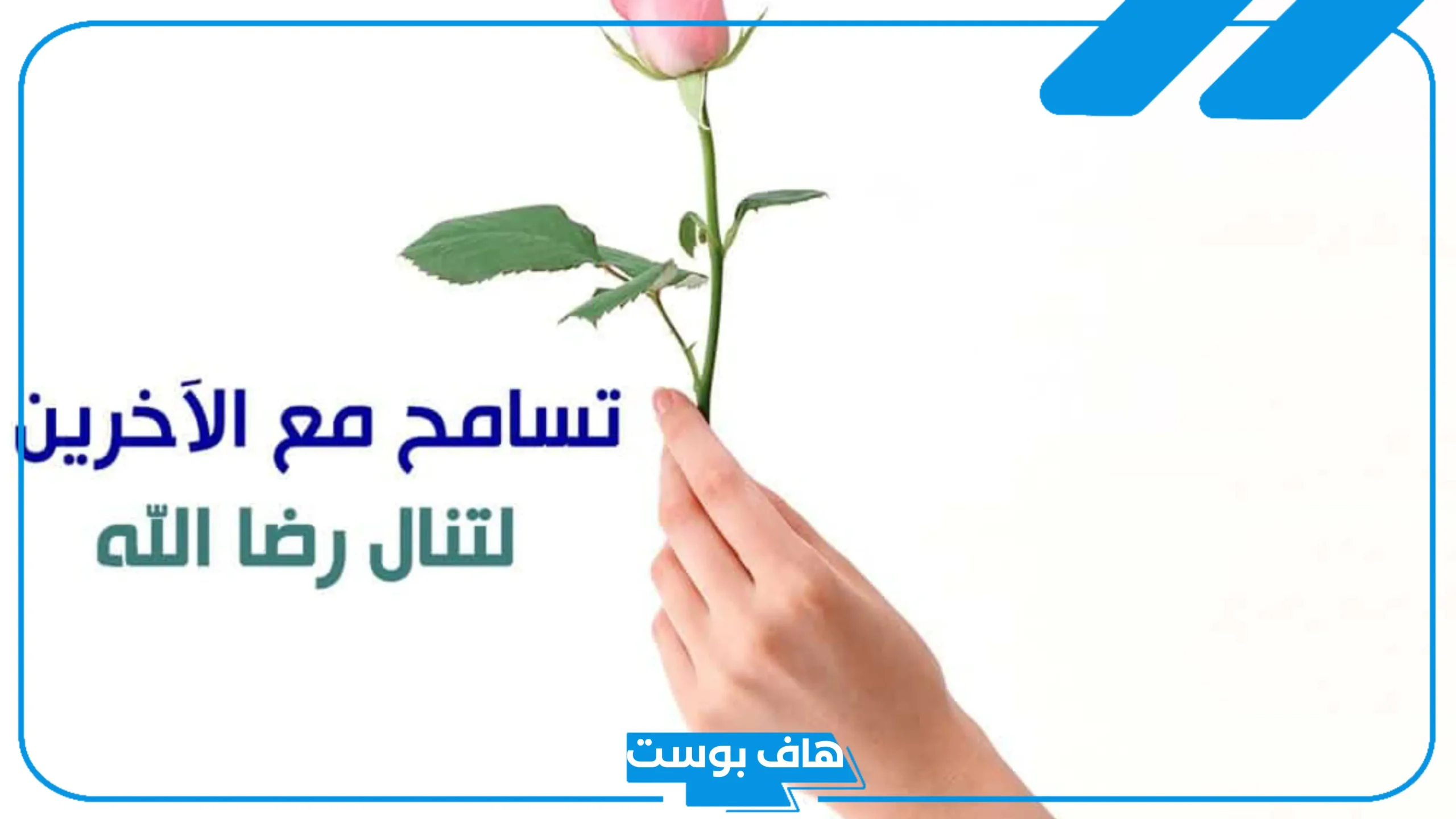 كلمة عن التسامح في الإسلام للأطفال.. أجمل كلمات عن التسامح مع الآخرين