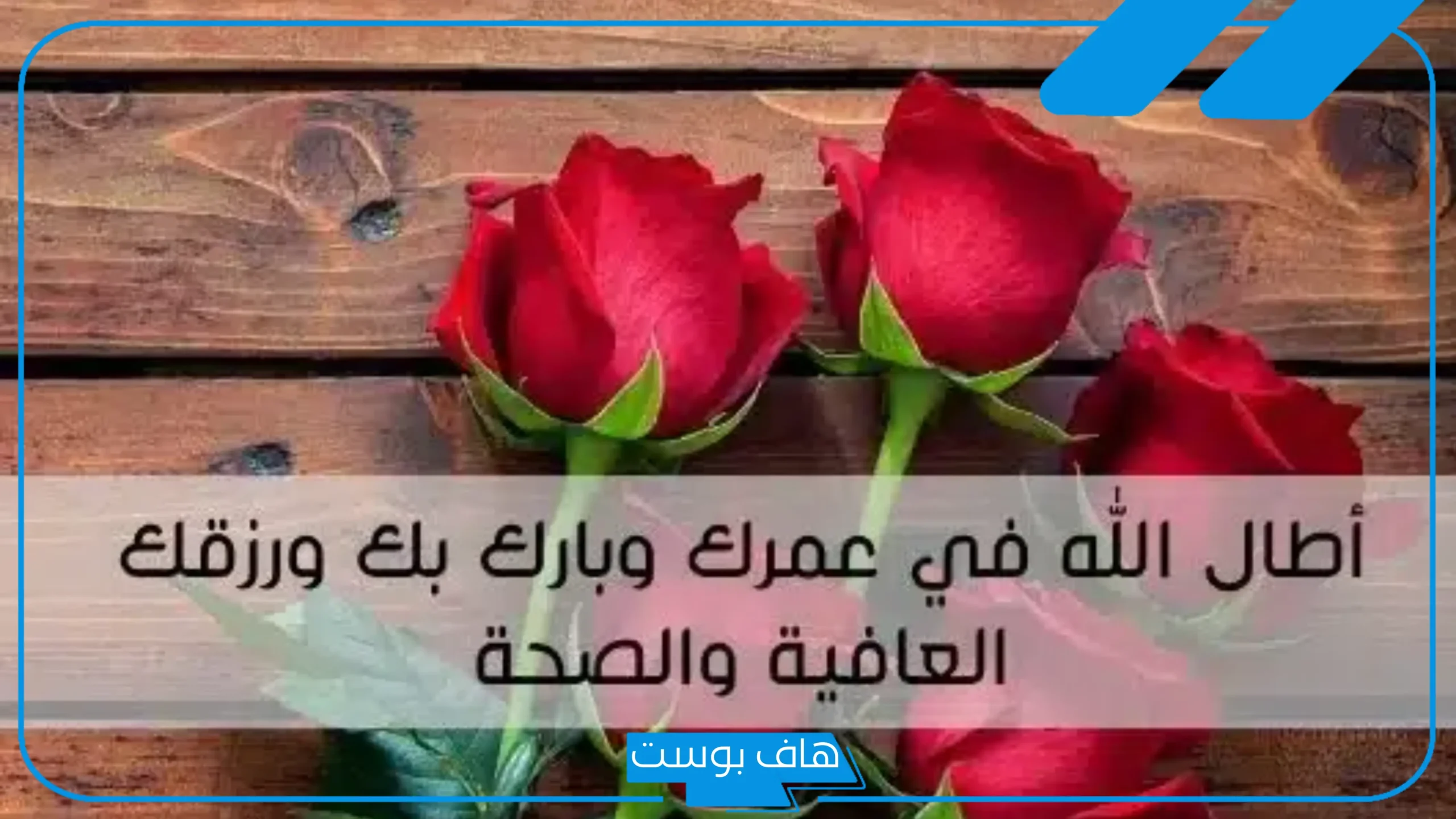 الرد على الله يعافيك.. إذا أحد قالي الله يعافيك وش أرد عليه؟