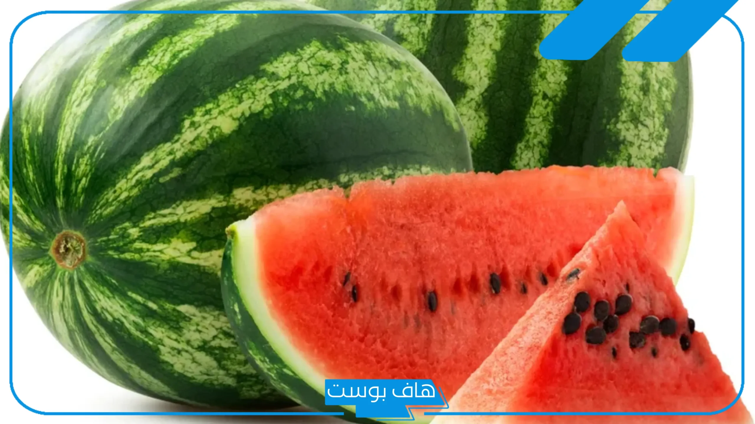 أفضل أنواع البطيخ في السعودية وأبرز مواصفاتها وأماكن زراعتها