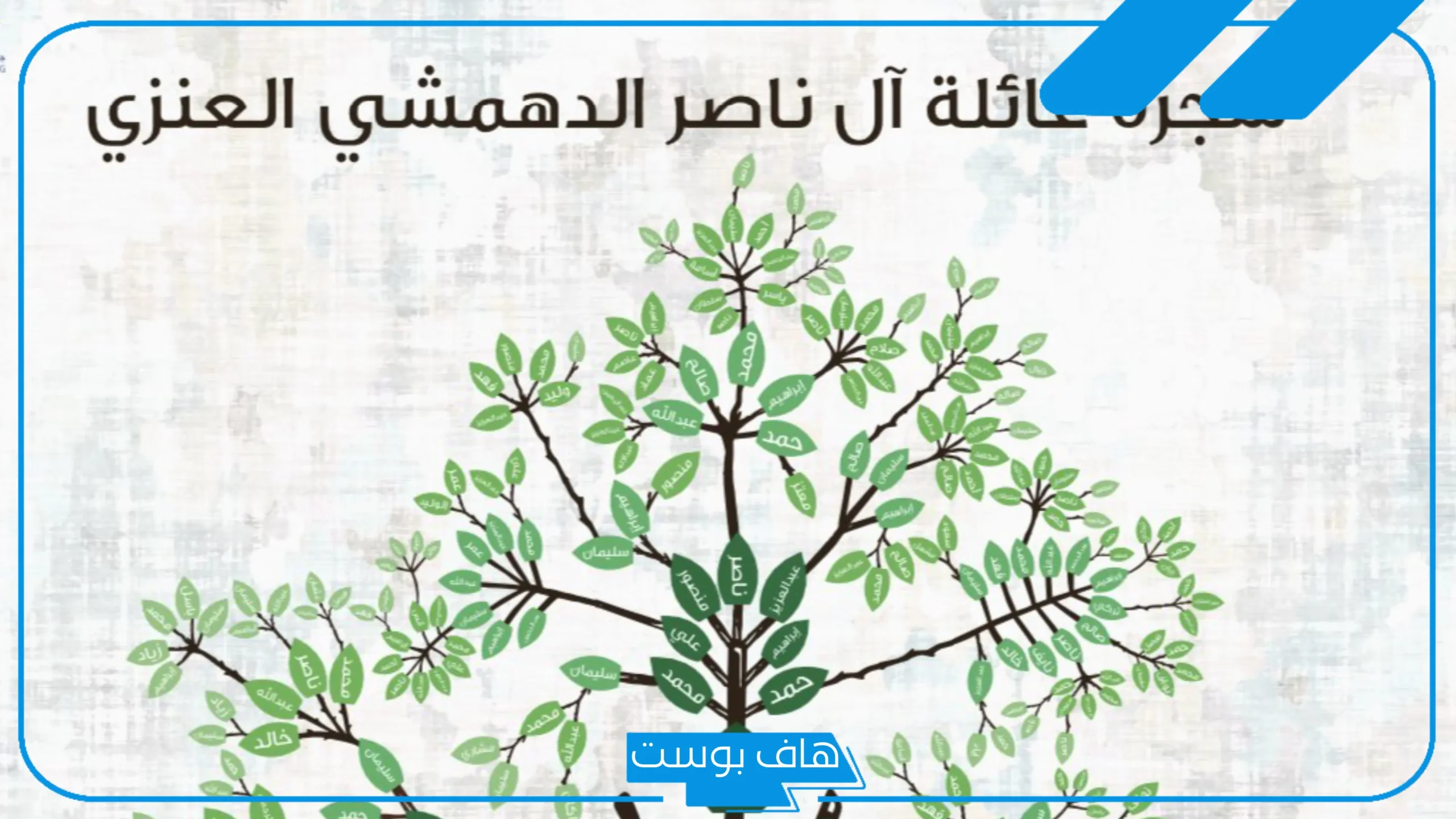 الناصر وش يرجعون الأصل والنسب؟ ديار قبيلة الناصر