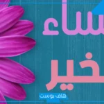 أجمل عبارات رد على مساء الخير مميزة.. كلمات مساء الخير للأصدقاء