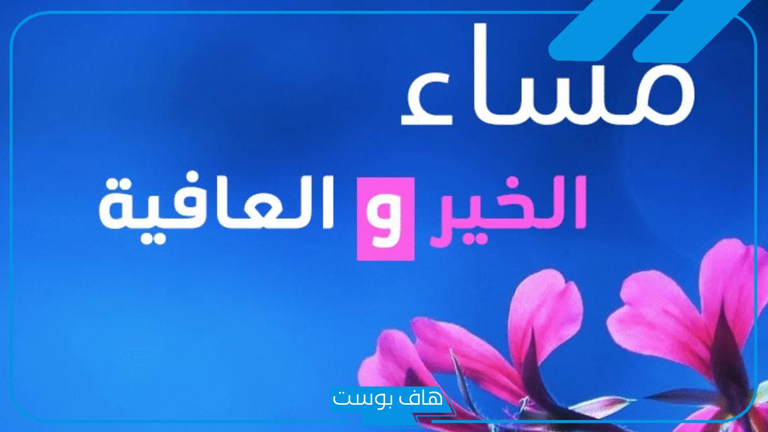 أجمل عبارات رد على مساء الخير مميزة.. كلمات مساء الخير للأصدقاء