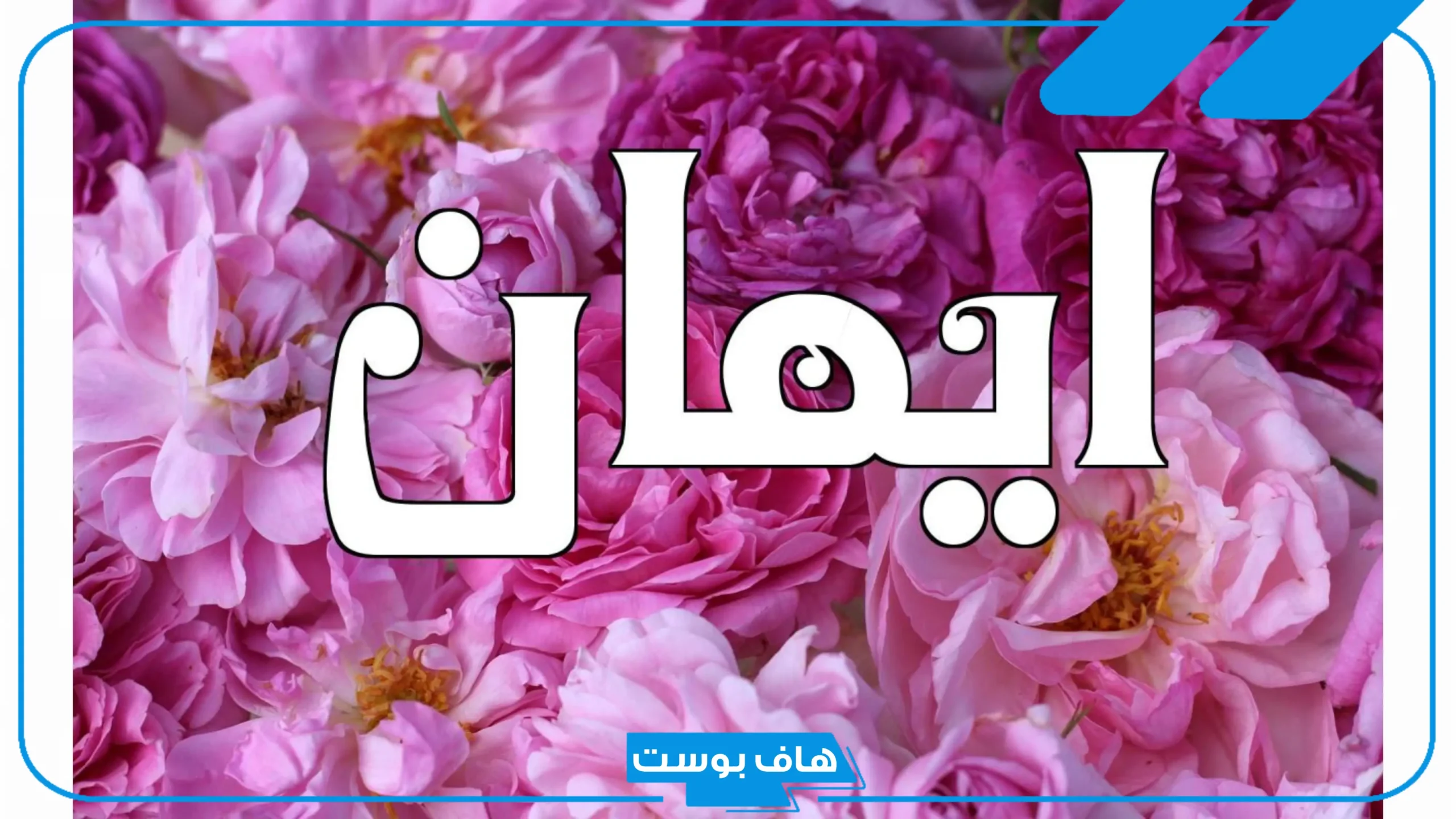 دلع ومعنى اسم ايمان وصفاتها الشخصية.. اسم إيمان في علم النفس