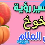 تفسير الخوخ في المنام للمطلقة والمتزوجة والحامل وعلاقته بالجنين ورمز أكله لابن سيرين