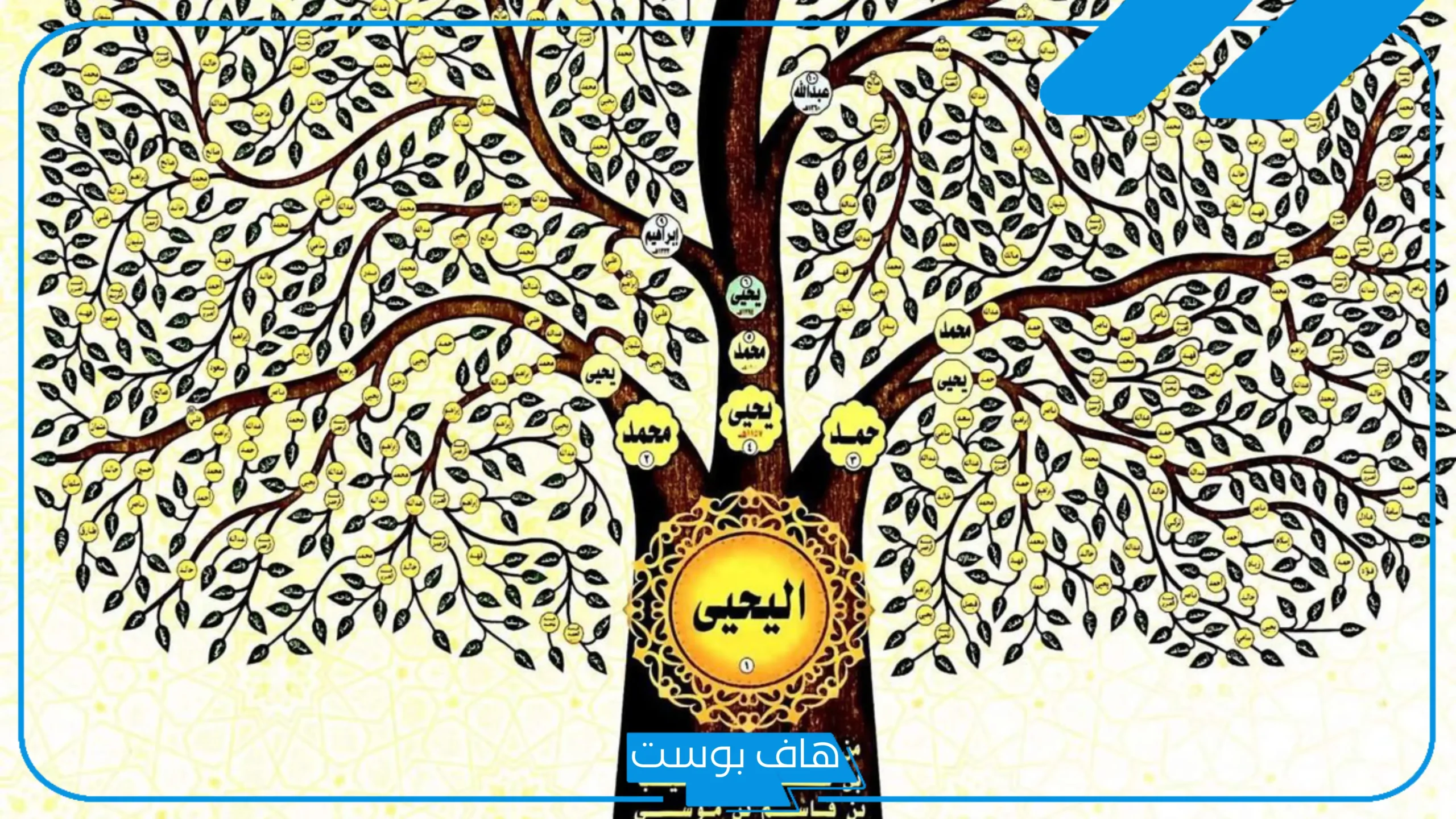 عائلة اليحيى من وين.. أصل اليحيى وش يرجع وديرته وين