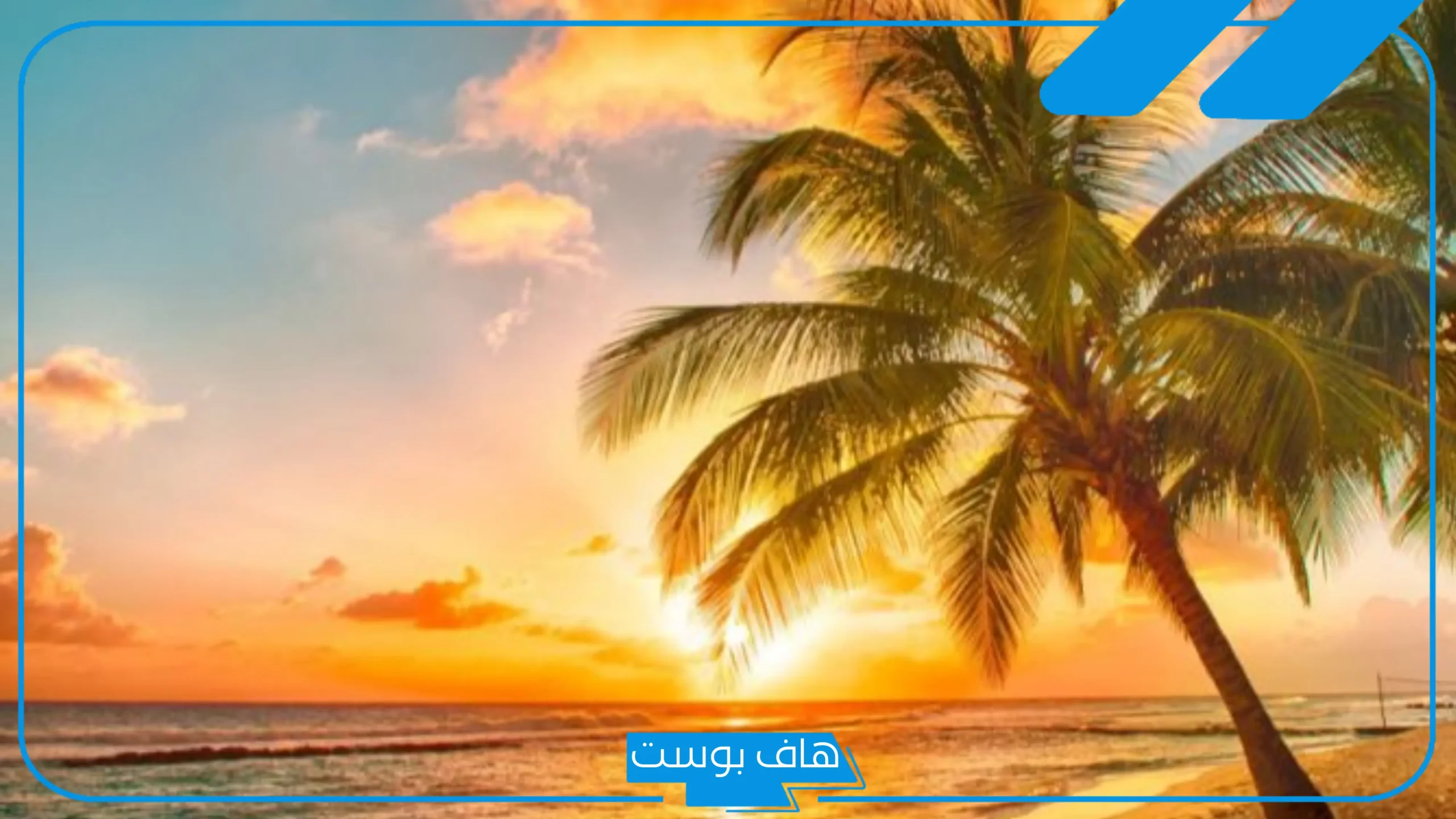 اقتباسات عن البحر جميلة للواتس آب.. عبارات عن هدوء البحر تويتر اقتباسات عن البحر جميلة للواتس آب.. عبارات عن هدوء البحر تويتر