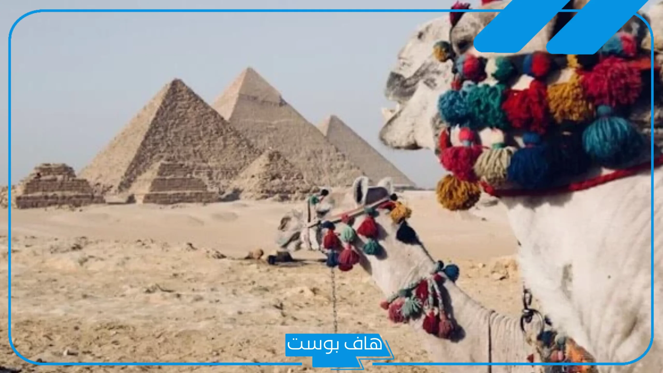 حلمت اني سافرت مصر للعزباء والمتزوجة والرجل في المنام لابن سيرين