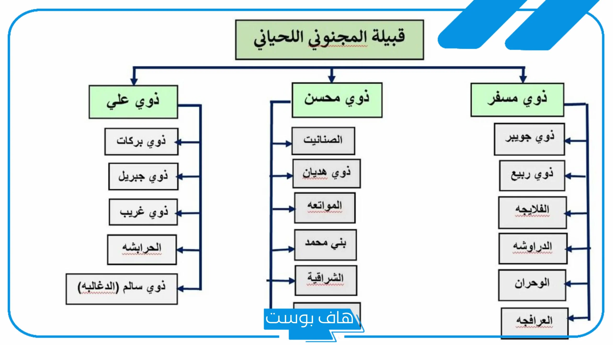 المجنوني وش يرجع وأين تقع ديارهم؟ فروع شجرة عائلة المجانين