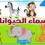 أسماء الحيوانات بالعربي والإنجليزي من 8 حروف مميزة 2025