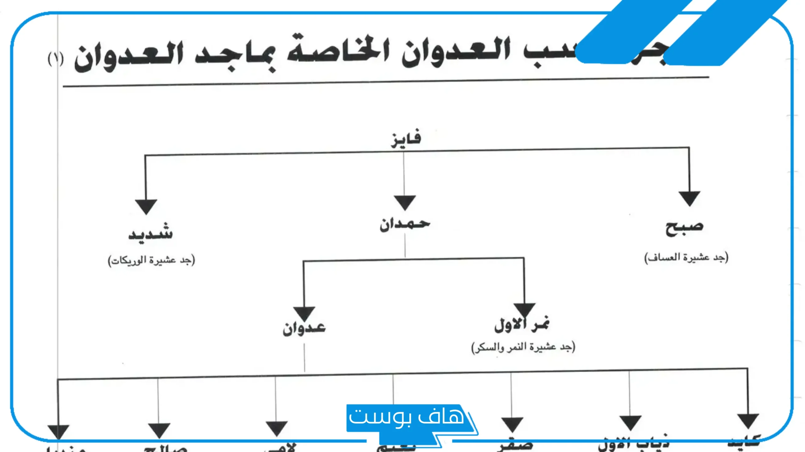 العدواني وش يرجع نسبه؟ شجرة العدواني
