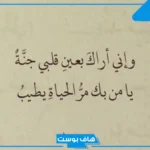 عبارة عن الاناقة والجمال والذوق الرفيع جميلة تويتر وواتس آب