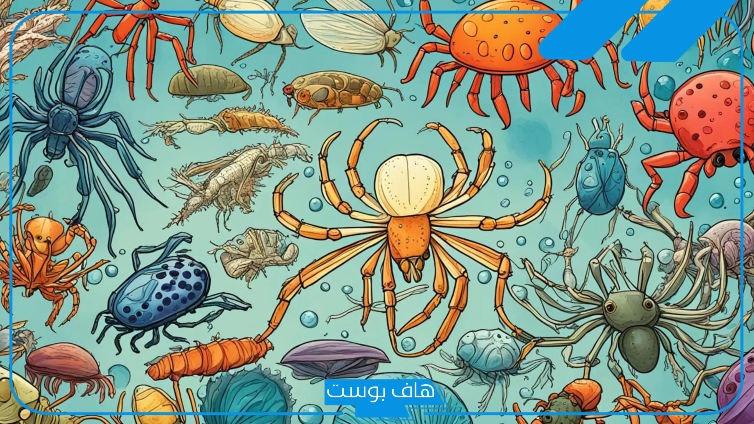 ما أكبر مجموعة من اللافقاريات؟ أنواعها وخصائصها وأمثلة عليها