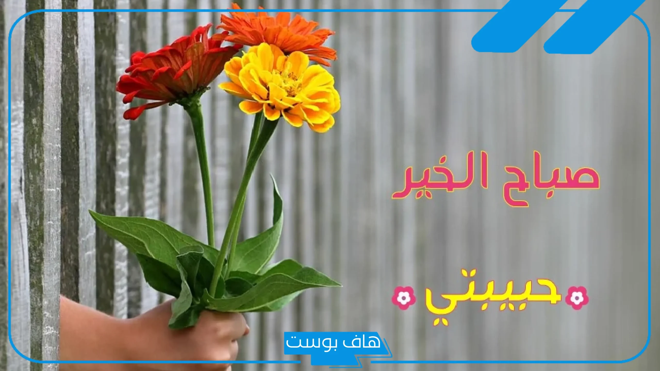 اجمل كلمات صباحيه رقيقة تويتر.. كلمات صباحية رومانسية للحبيب