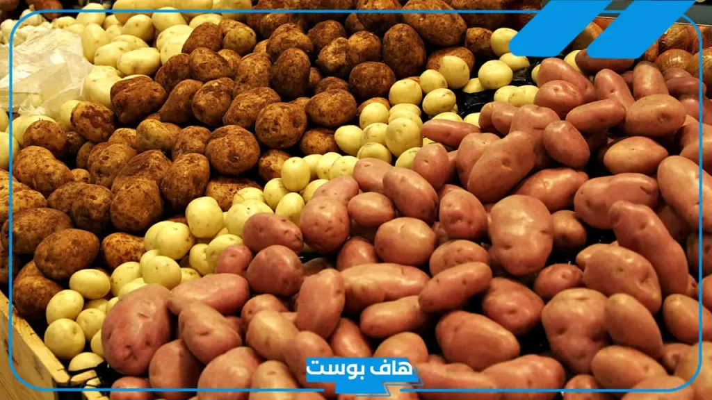 تفسير رؤية البطاطا في المنام للرجل والمرأة المطلقة والمتزوجة لابن سيرين