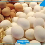 تفسير حلم البيض في المنام للمتزوجة والرجل والعزباء لابن سيرين