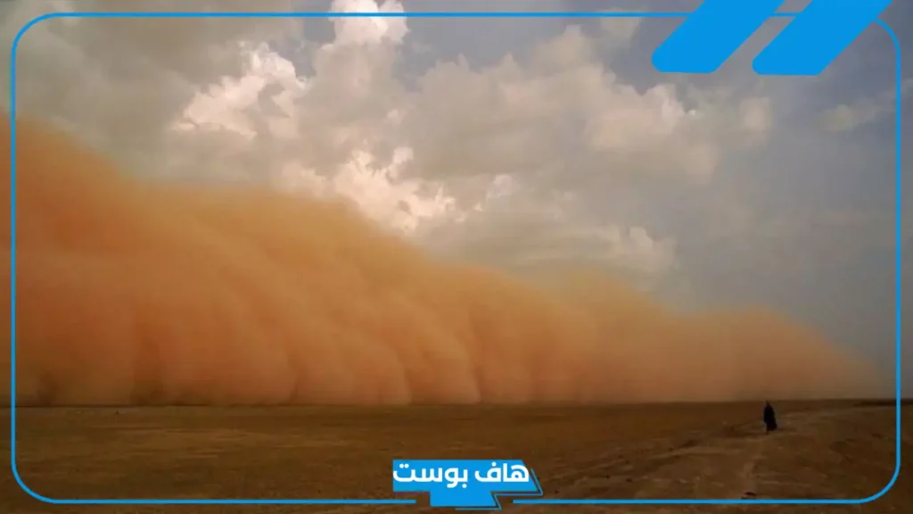 تفسير رؤية العج في المنام وتنظيف الغبار للمرأة المتزوجة والعزباء لابن سيرين