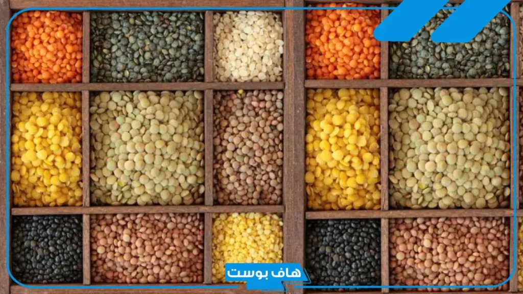 تفسير رؤية العدس في المنام للحامل والمتزوجة والعزباء لابن سيرين