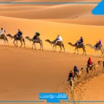 العقيل وش يرجعون الأصل.. فروع شجرة العقيل وأبرز الشخصيات