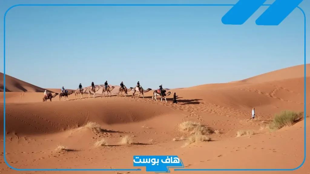 العلي وش يرجعون، ديرة العلي وين، فروع قبيلة العلي