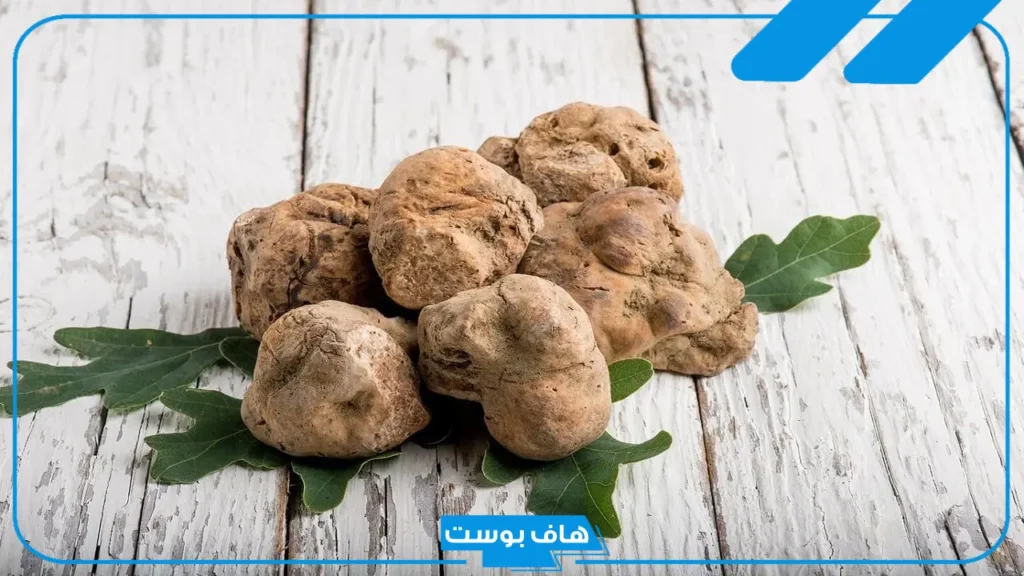 تفسير رؤية الفقع في المنام فهد العصيمي للرجل والمرأة وعلاقته بقدوم الخير