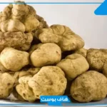 تفسير رؤية الفقع في المنام فهد العصيمي للرجل والمرأة وعلاقته بقدوم الخير