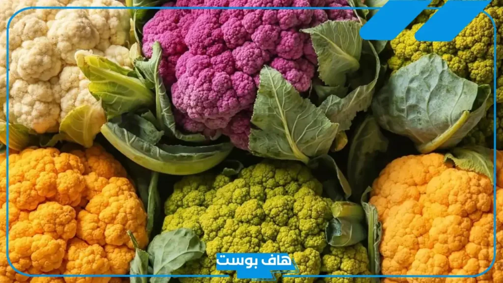 تفسير رؤية القرنبيط في المنام للمطلقة والحامل والعزباء لابن سيرين