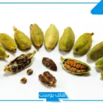 تفسير حلم الهيل في المنام للمطلقة والمتزوجة والعزباء لابن سيرين