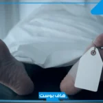 تفسير حلم الميت ياكل مع الحي في المنام للمتزوجة والعزباء عند ابن سيرين