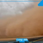 تفسير رؤية العج في المنام وتنظيف الغبار للمرأة المتزوجة والعزباء لابن سيرين