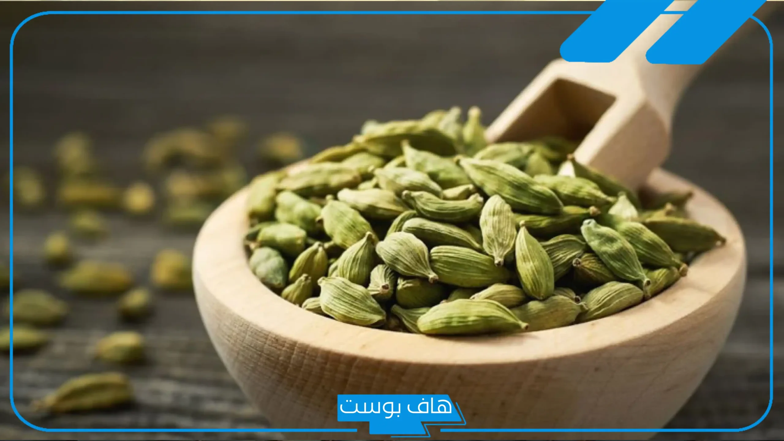 تفسير حلم الهيل في المنام للمطلقة والمتزوجة والعزباء لابن سيرين